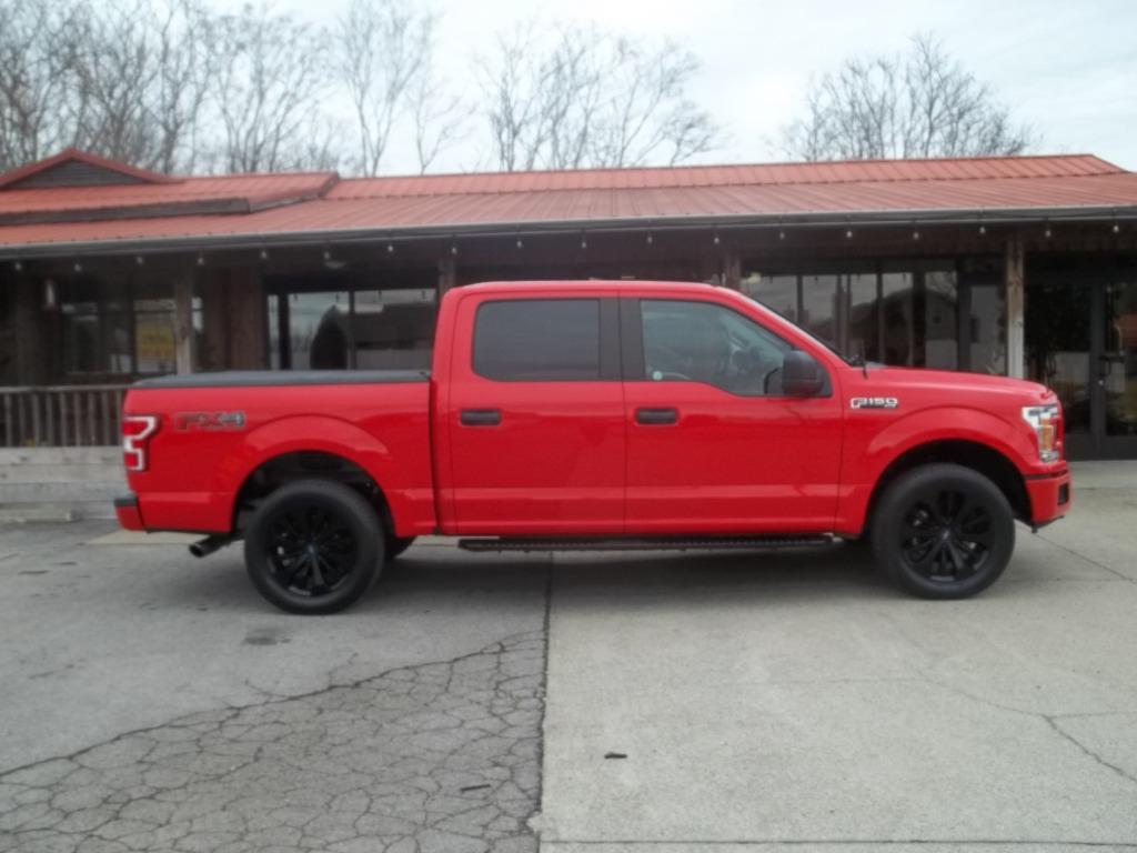 2020 Ford F-150 XL's photo